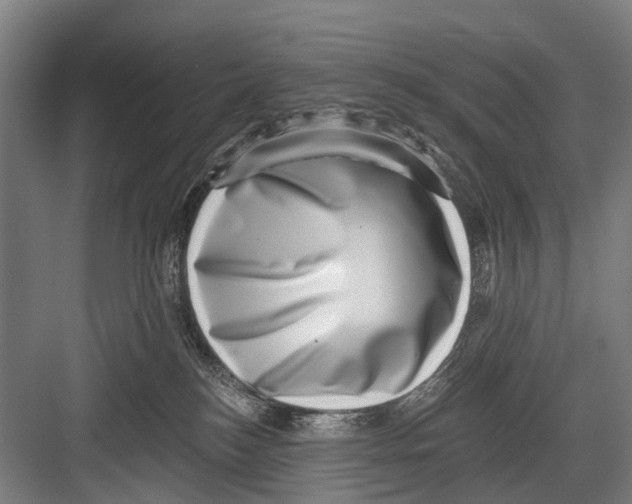 X0000081560184200702121405