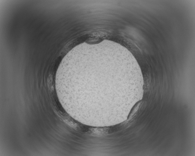 X0000081560187200702121405