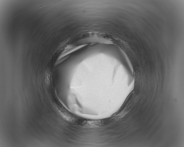 X0000081560188200702121405