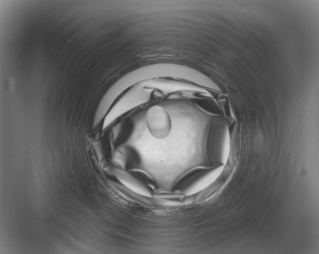 X0000081560190200702121405