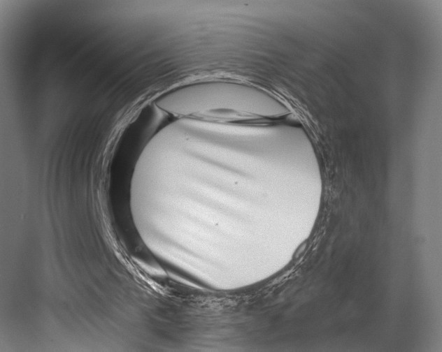 X0000081560193200702121405