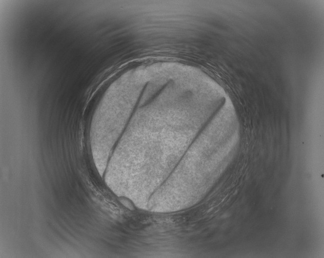 X0000081560194200702121404