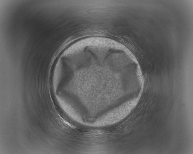 X0000081560195200702121404