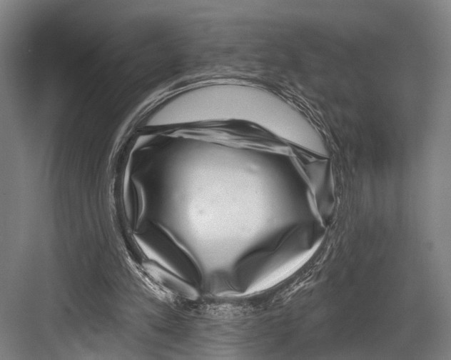 X0000081560197200702121404
