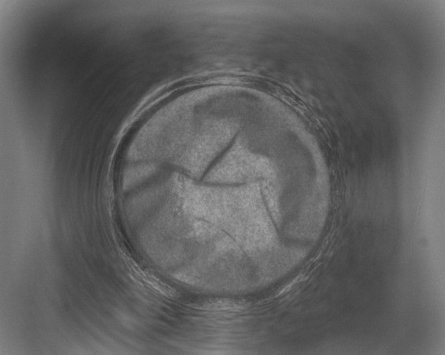 X0000081560198200702121404