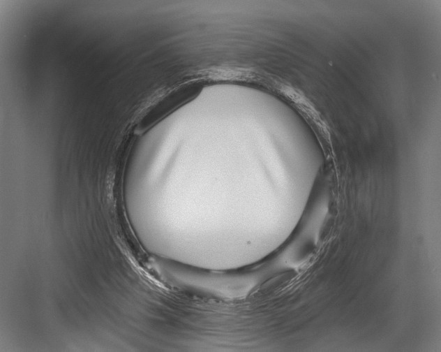X0000081560201200702121404