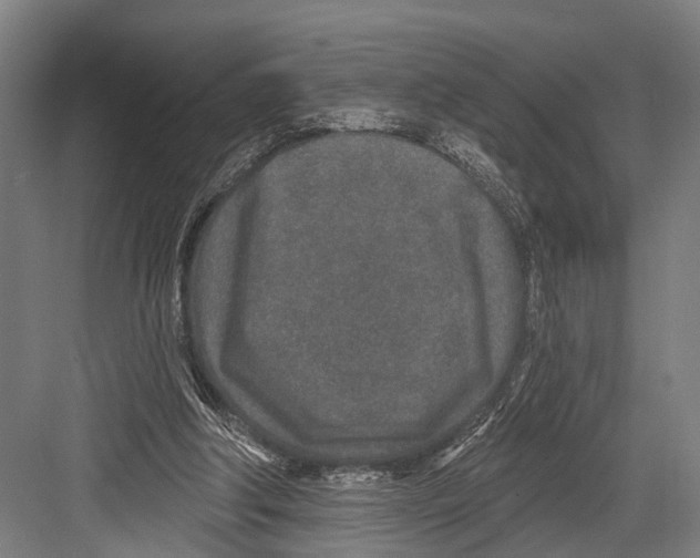 X0000081560202200702121404
