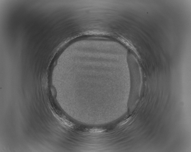 X0000081560204200702121404