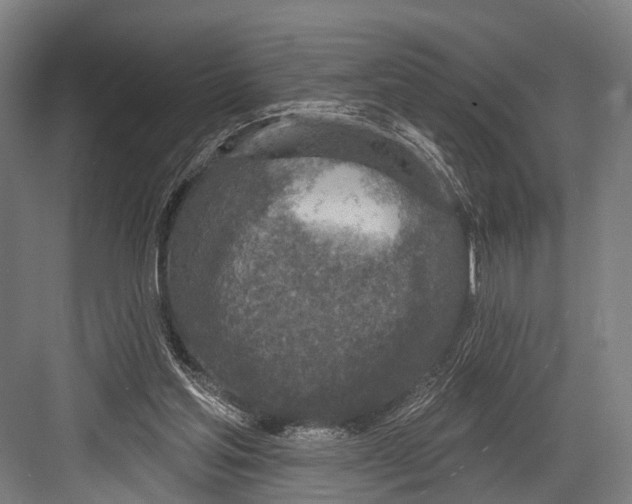 X0000081560205200702121404