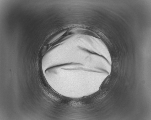 X0000081560207200702121404