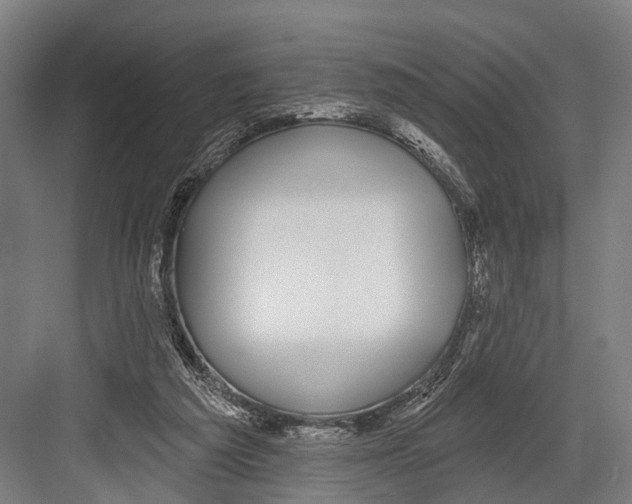 X0000081560209200702121404