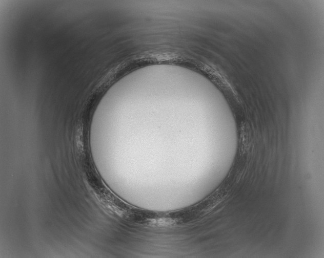 X0000081560212200702121404