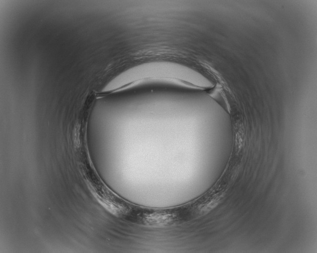 X0000081560213200702121404