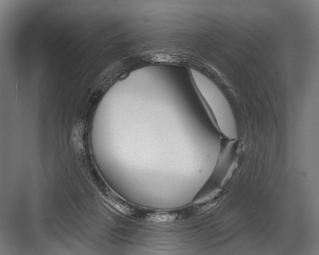 X0000081560217200702121404