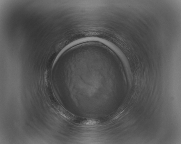 X0000081560219200702121404
