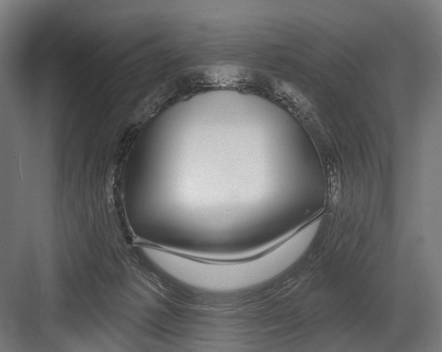 X0000081560221200702121404