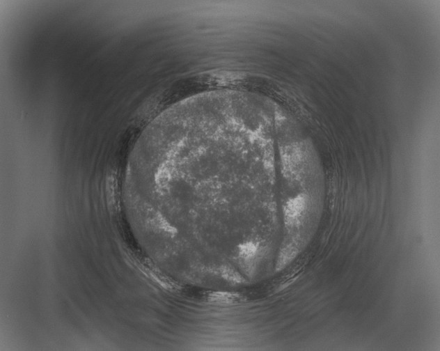 X0000081560222200702121404