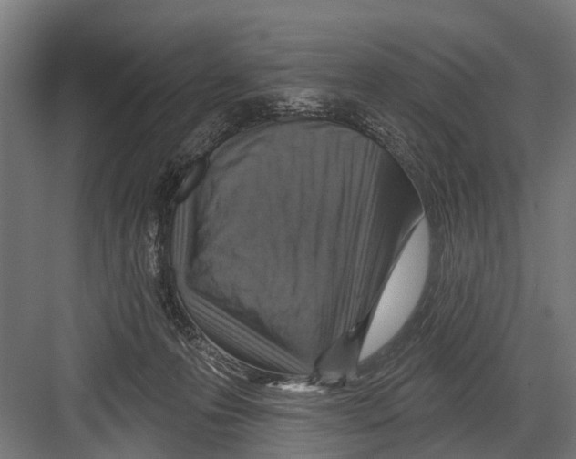 X0000081560223200702121404