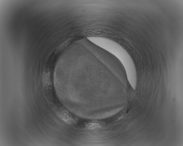 X0000081560224200702121404
