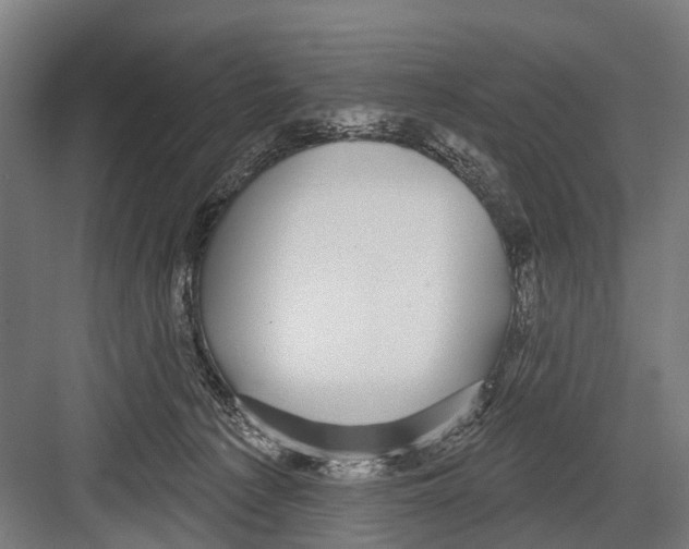 X0000081560225200702121404
