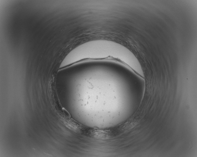 X0000081560229200702121404