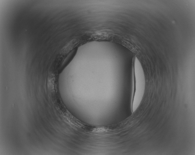 X0000081560231200702121404