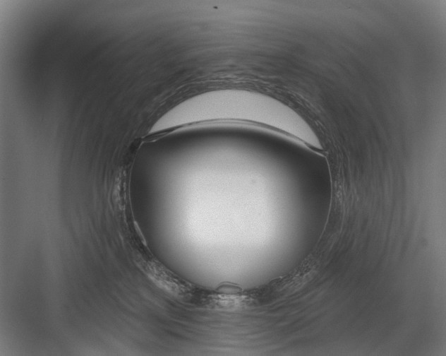 X0000081560233200702121404
