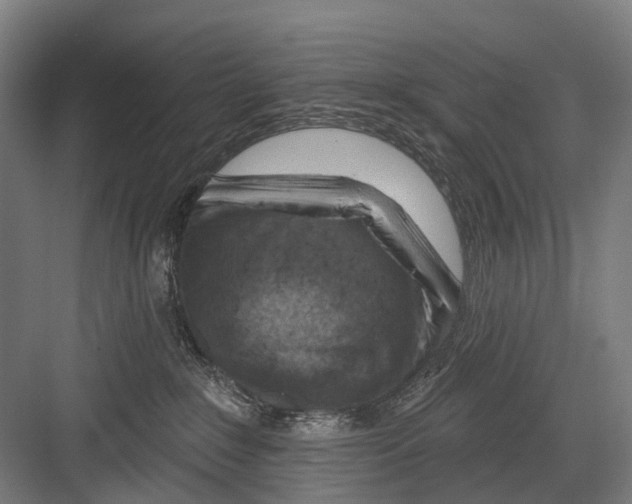 X0000081560235200702121404