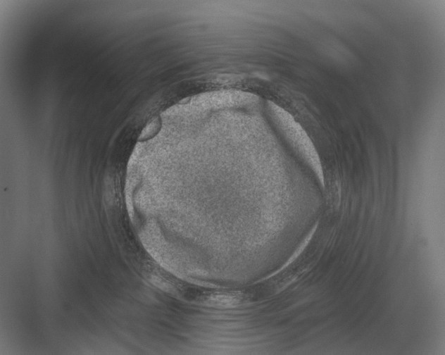 X0000081560236200702121404