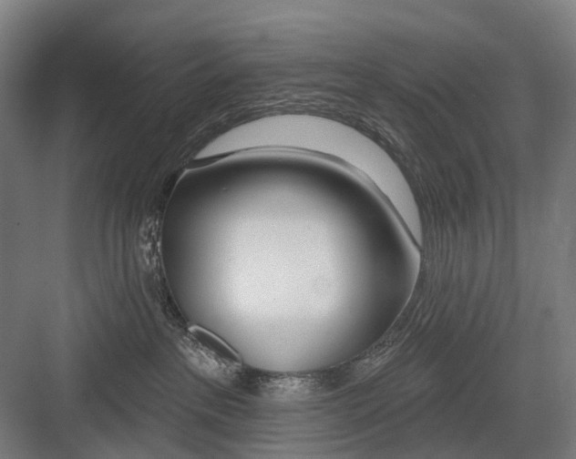 X0000081560237200702121404