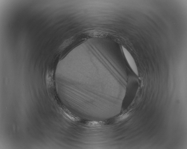 X0000081560239200702121404