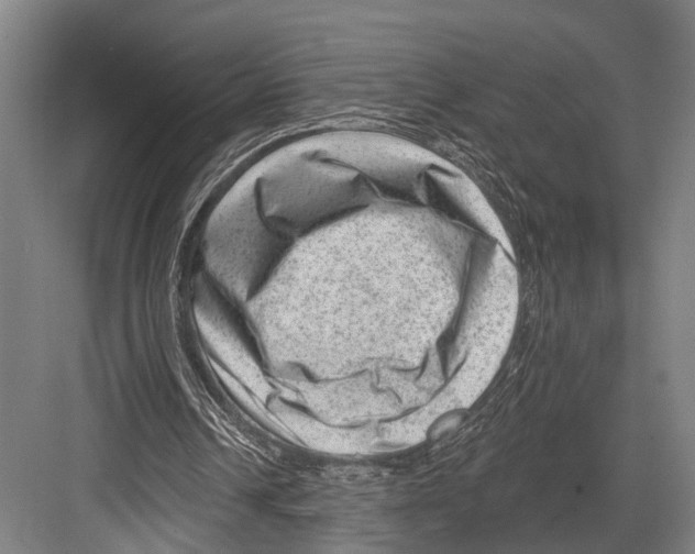 X0000081560242200702121403