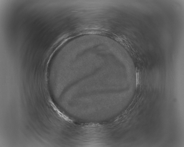 X0000081560243200702121403