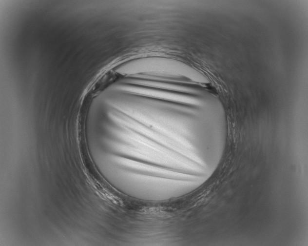 X0000081560244200702121403