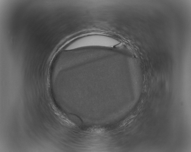 X0000081560247200702121403