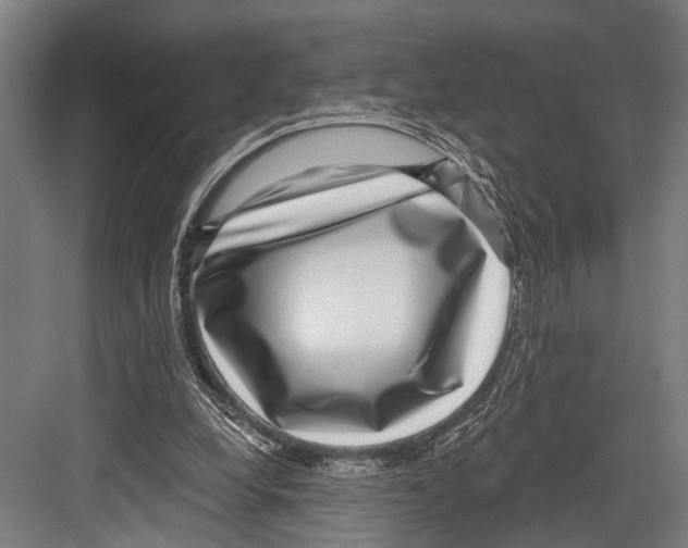 X0000081560248200702121403