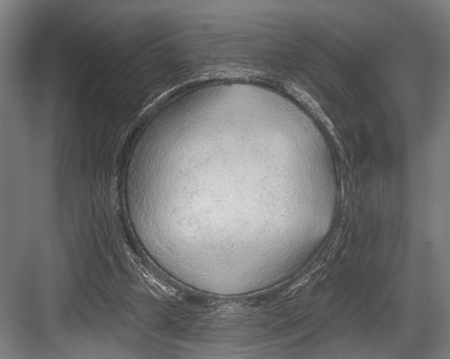 X0000081560249200702121403