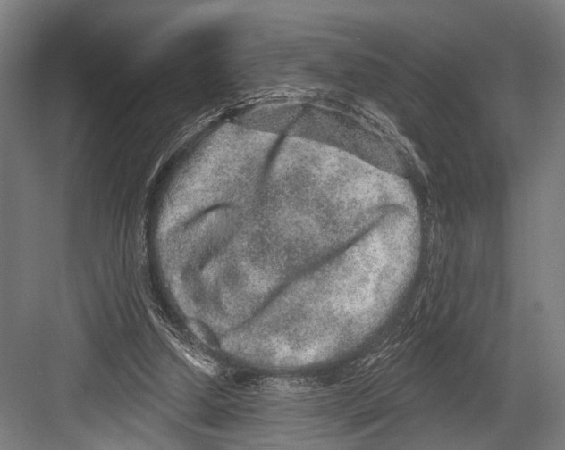 X0000081560250200702121403