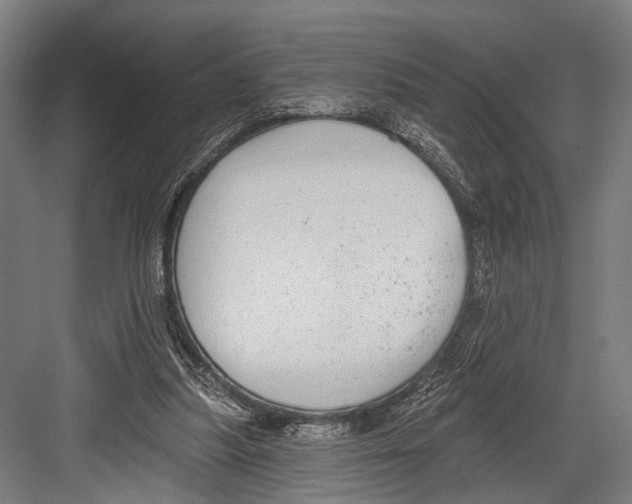 X0000081560251200702121403