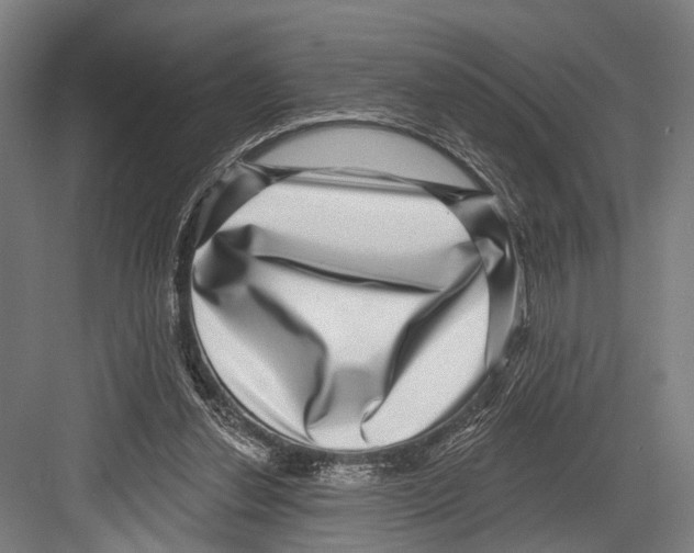 X0000081560252200702121403