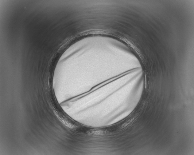 X0000081560253200702121403