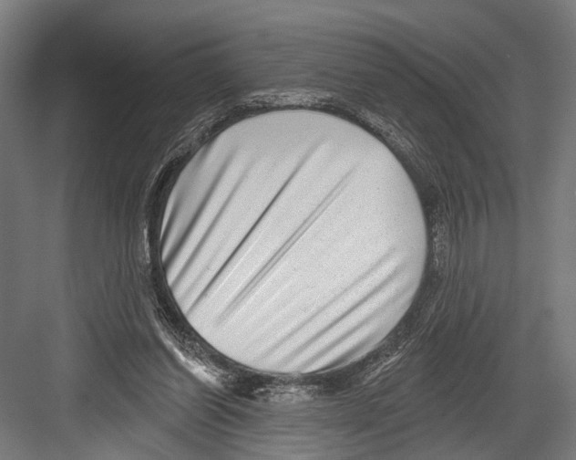 X0000081560254200702121403