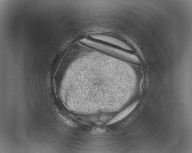 X0000081560257200702121403
