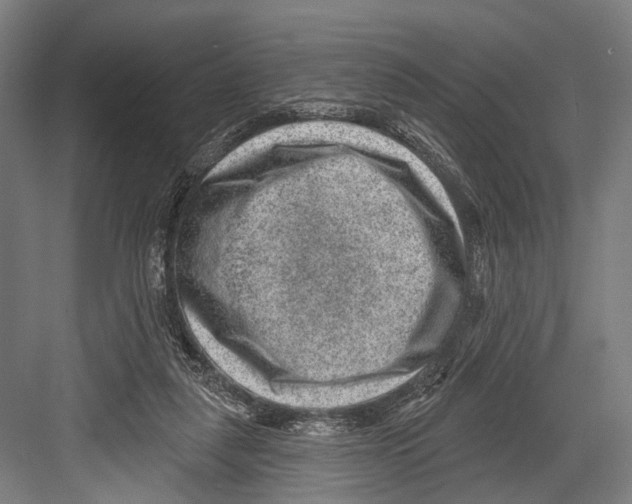 X0000081560259200702121403