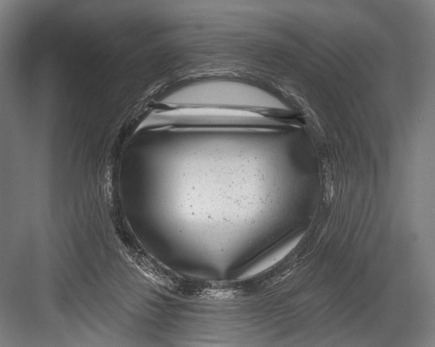 X0000081560260200702121403