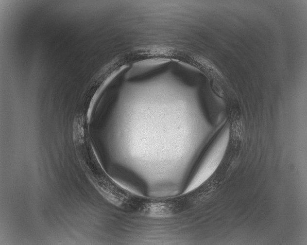 X0000081560264200702121403