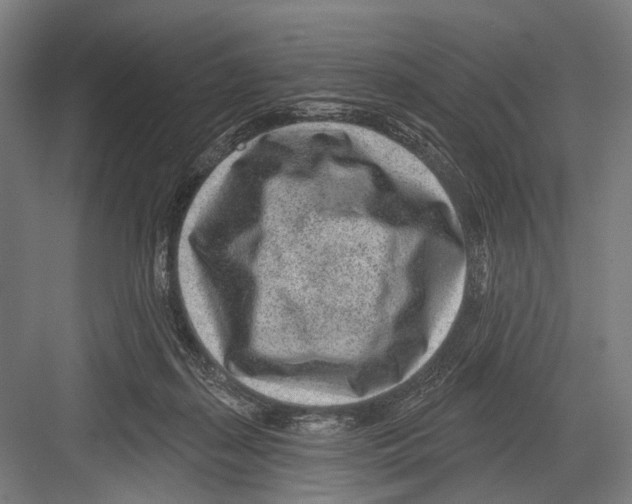 X0000081560267200702121403