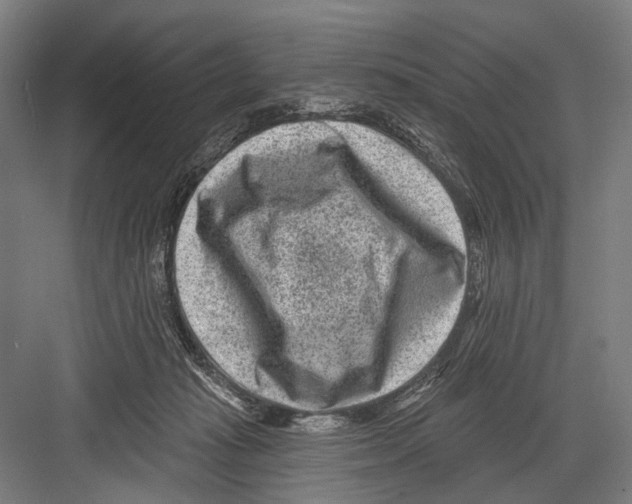 X0000081560269200702121403