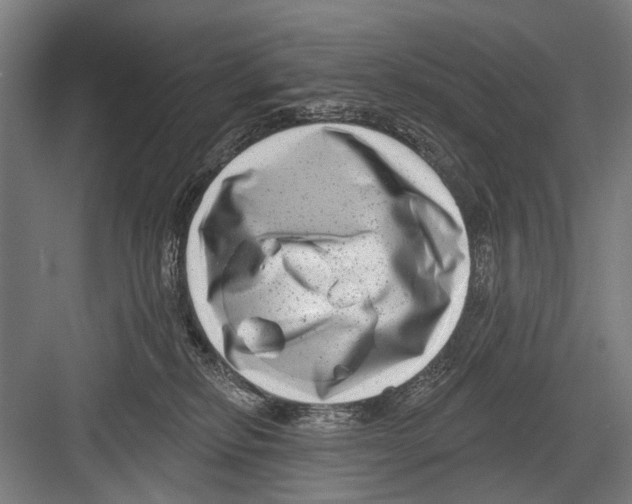 X0000081560278200702121404
