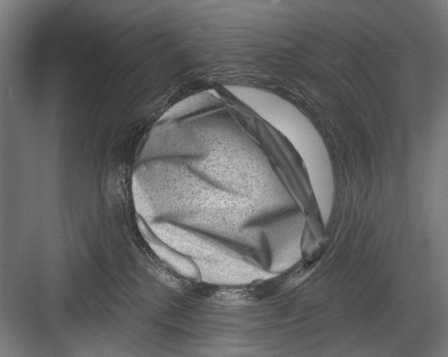 X0000081560280200702121404